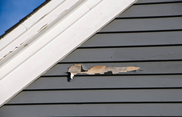 Trusted Los Alamos, NM Siding Experts